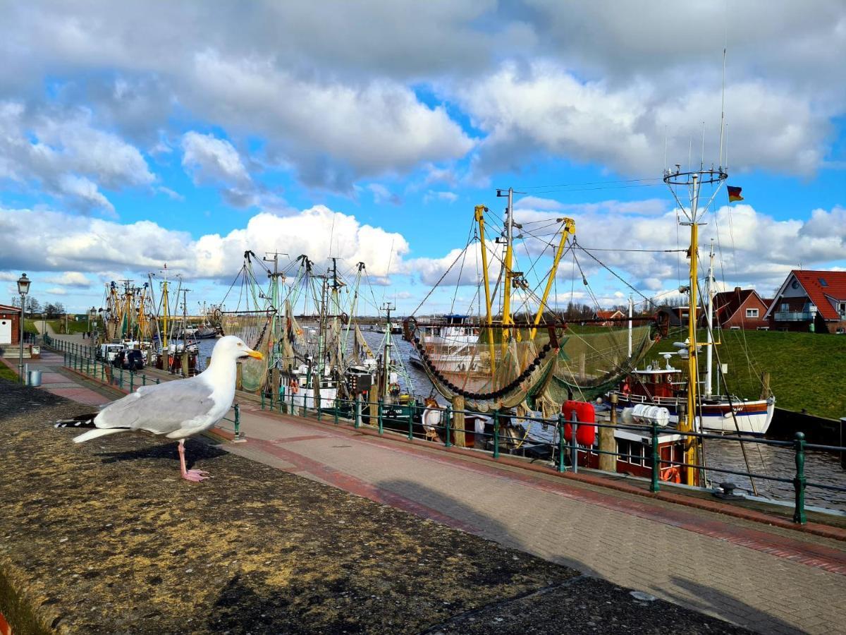 Baltrum Auf Dem Elisenhof * Hagermarsch