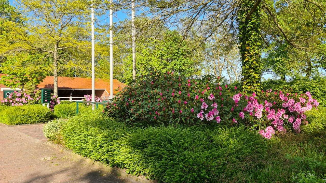 Baltrum Auf Dem Elisenhof * Hagermarsch